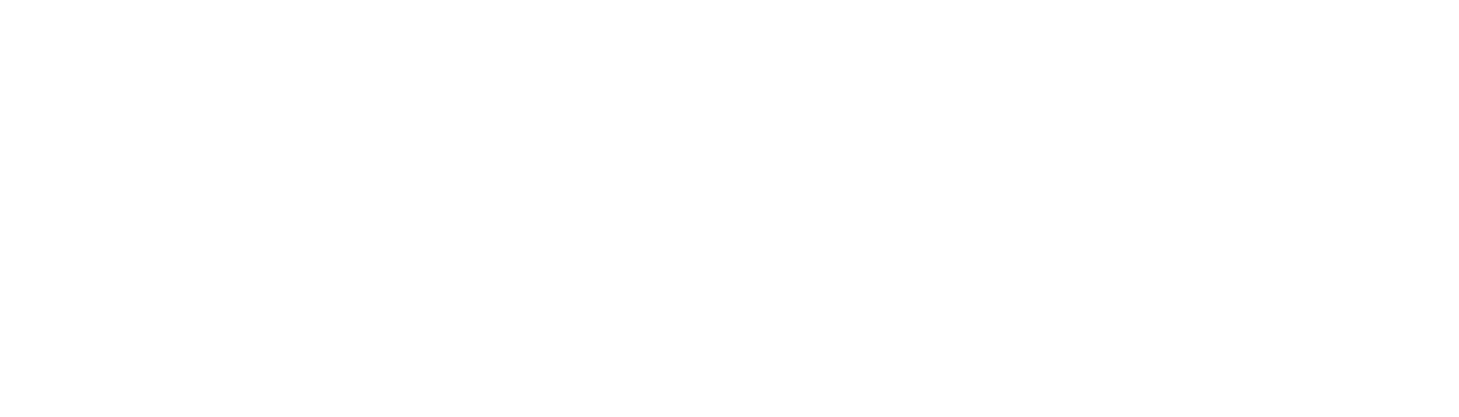 Blue Raven Scientific Logo