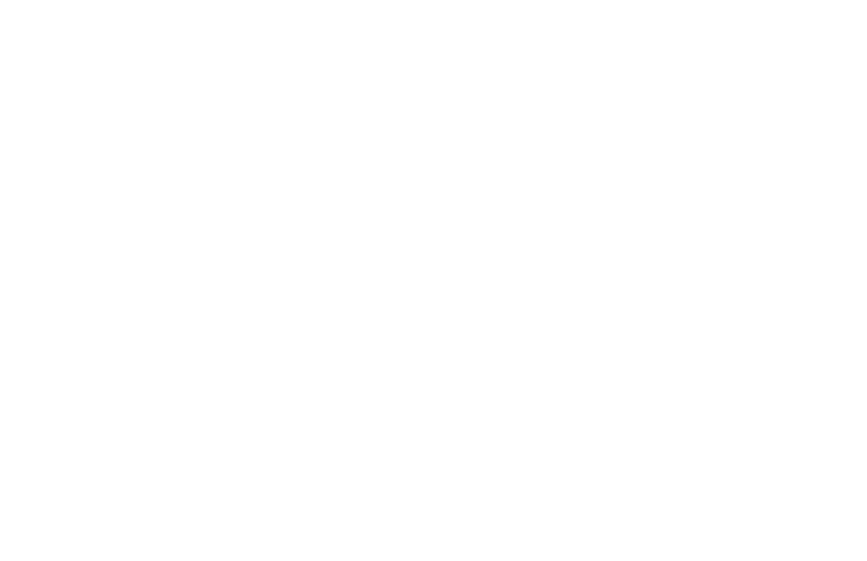 Blue Raven Scientific LLC Logo